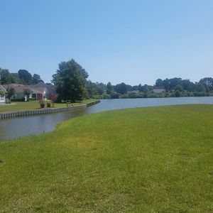 Meet your Posher, Bob